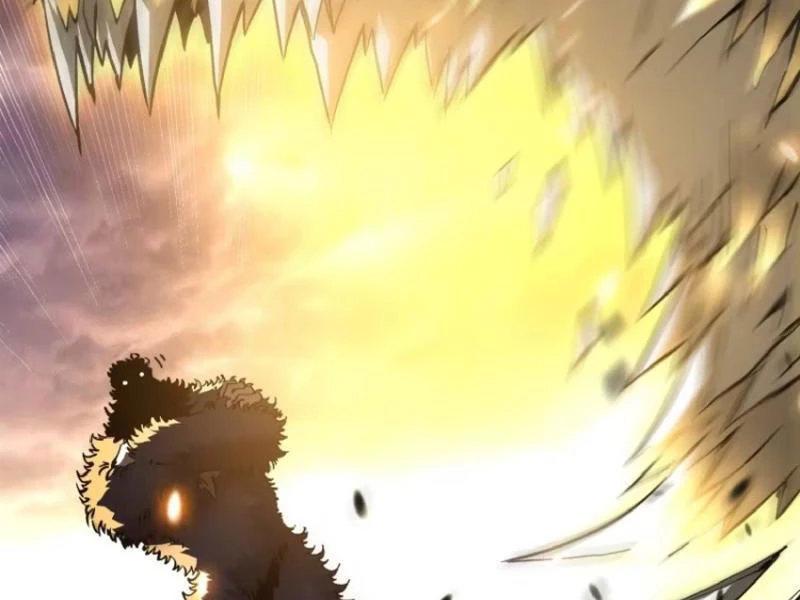 Cao Võ Tiến Hóa: Bắt Đầu Thức Tỉnh Quái Thú Chi Vương Chapter 27 - 24