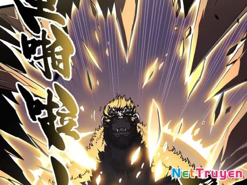 Cao Võ Tiến Hóa: Bắt Đầu Thức Tỉnh Quái Thú Chi Vương Chapter 27 - 26