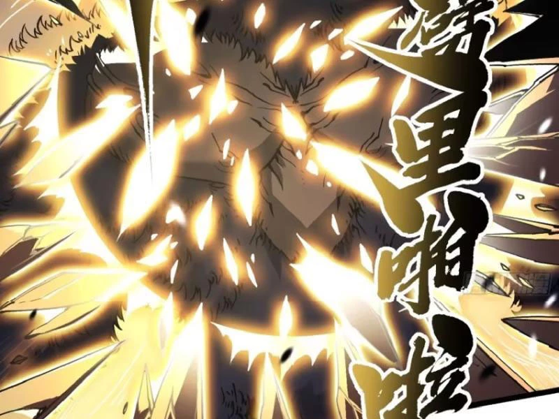 Cao Võ Tiến Hóa: Bắt Đầu Thức Tỉnh Quái Thú Chi Vương Chapter 27 - 27