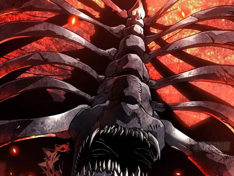 Cao Võ Tiến Hóa: Bắt Đầu Thức Tỉnh Quái Thú Chi Vương Chapter 28 - 7