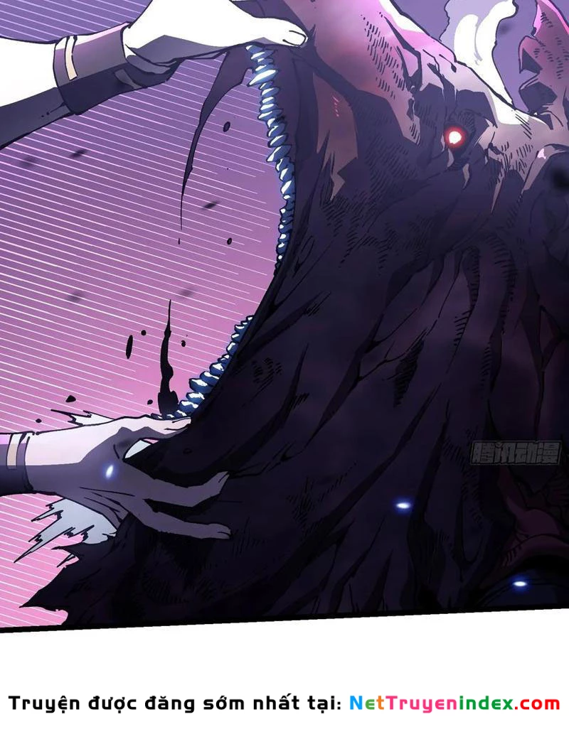 Cao Võ Tiến Hóa: Bắt Đầu Thức Tỉnh Quái Thú Chi Vương Chapter 33 - 28