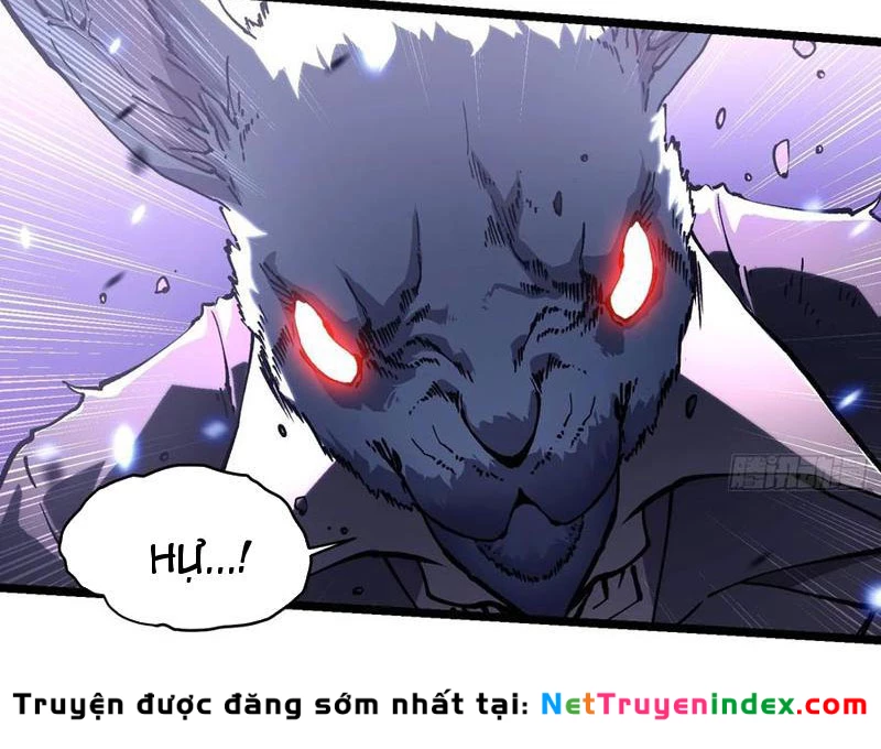 Cao Võ Tiến Hóa: Bắt Đầu Thức Tỉnh Quái Thú Chi Vương Chapter 34 - 12