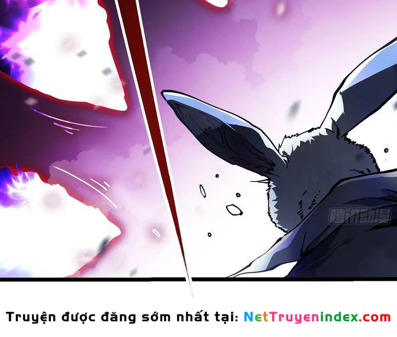 Cao Võ Tiến Hóa: Bắt Đầu Thức Tỉnh Quái Thú Chi Vương Chapter 34 - 25