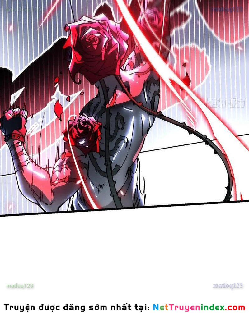 Cao Võ Tiến Hóa: Bắt Đầu Thức Tỉnh Quái Thú Chi Vương Chapter 42 - 27