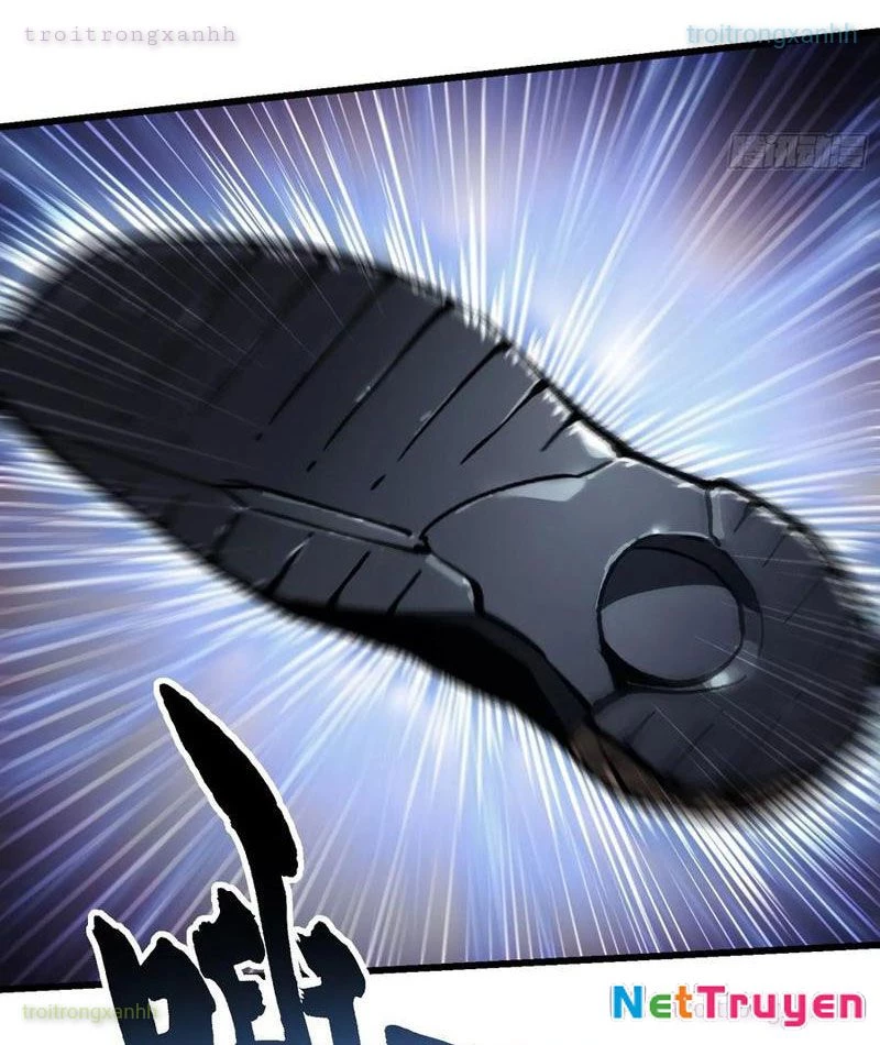 Cao Võ Tiến Hóa: Bắt Đầu Thức Tỉnh Quái Thú Chi Vương Chapter 50 - 11