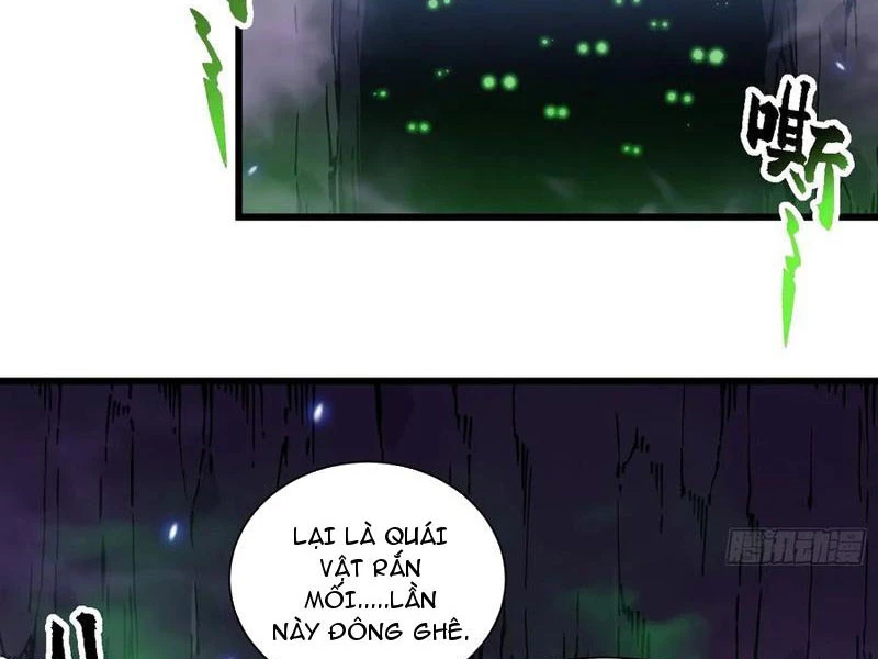 Cao Võ Tiến Hóa: Bắt Đầu Thức Tỉnh Quái Thú Chi Vương Chapter 51 - 20