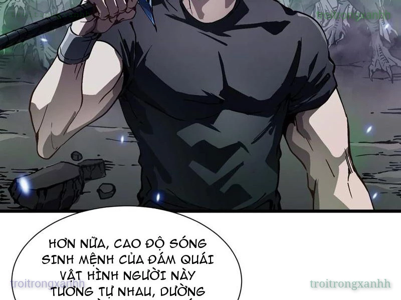 Cao Võ Tiến Hóa: Bắt Đầu Thức Tỉnh Quái Thú Chi Vương Chapter 51 - 22