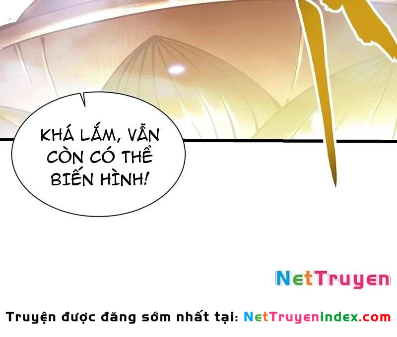 Cao Võ Tiến Hóa: Bắt Đầu Thức Tỉnh Quái Thú Chi Vương Chapter 51 - 71