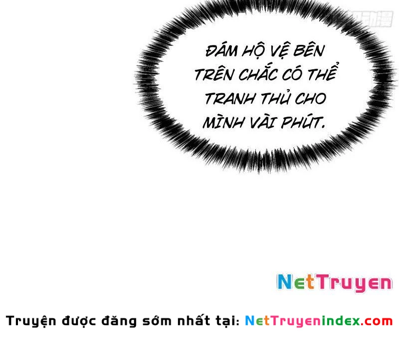 Cao Võ Tiến Hóa: Bắt Đầu Thức Tỉnh Quái Thú Chi Vương Chapter 52 - 51