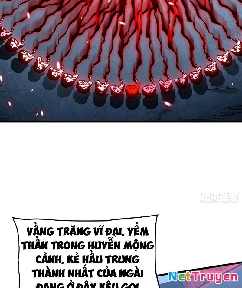 Cao Võ Tiến Hóa: Bắt Đầu Thức Tỉnh Quái Thú Chi Vương Chapter 59 - 36