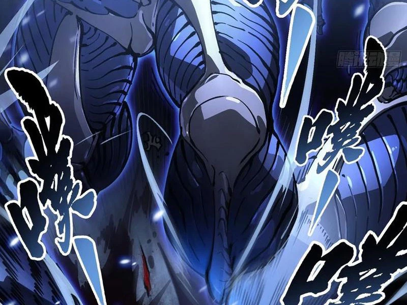 Cao Võ Tiến Hóa: Bắt Đầu Thức Tỉnh Quái Thú Chi Vương Chapter 61 - 15