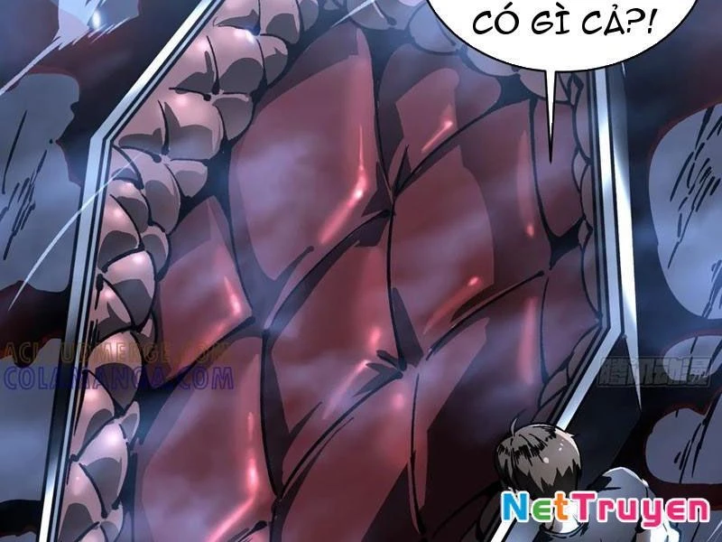 Cao Võ Tiến Hóa: Bắt Đầu Thức Tỉnh Quái Thú Chi Vương Chapter 61 - 51