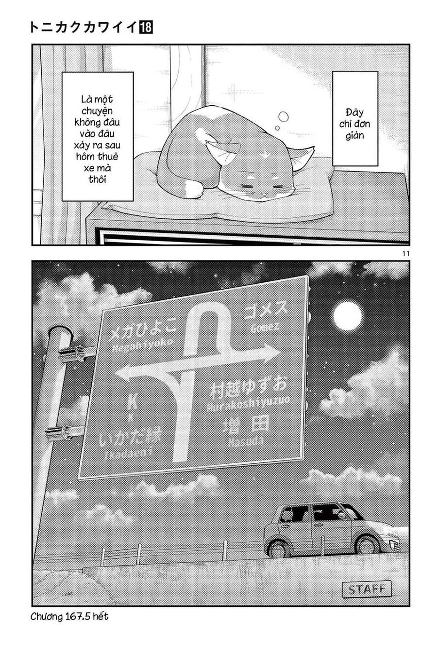 Tóm Lại Là Em Dễ Thương Được Chưa Chapter 167.5 - 11