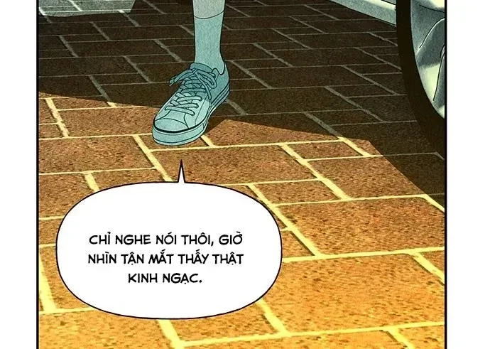 Cửa Hàng Đồ Cổ Tương Lai Chapter 63 - 29