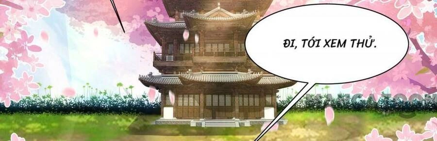 Đồ Đệ Của Ta Đều Là Nữ Ma Đầu Chapter 186 - 14