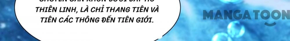 Đồ Đệ Của Ta Đều Là Nữ Ma Đầu Chapter 197 - 24