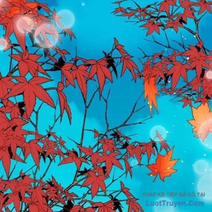 Studio Tùy Hứng Của Nghệ Sĩ Thiên Tài Chapter 99 - 201