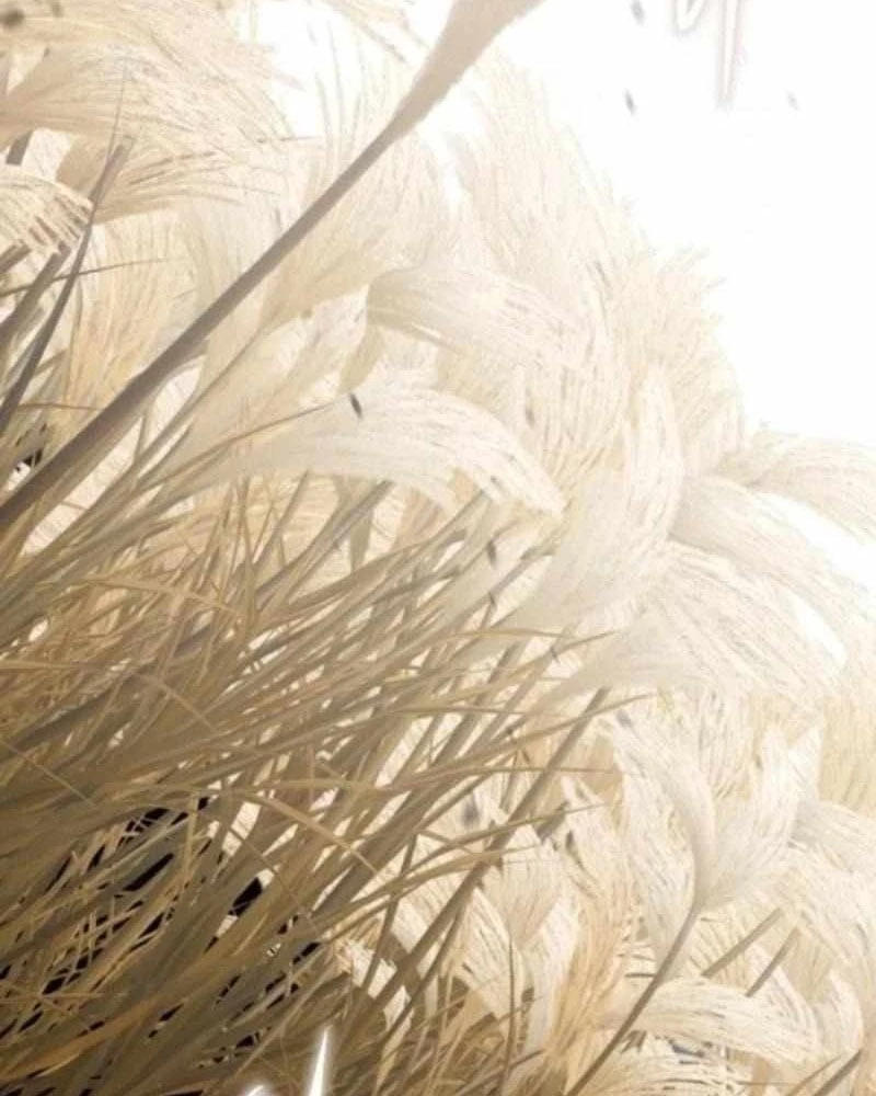 Tanker Hạng C Bất Tử Chapter 40 - 186