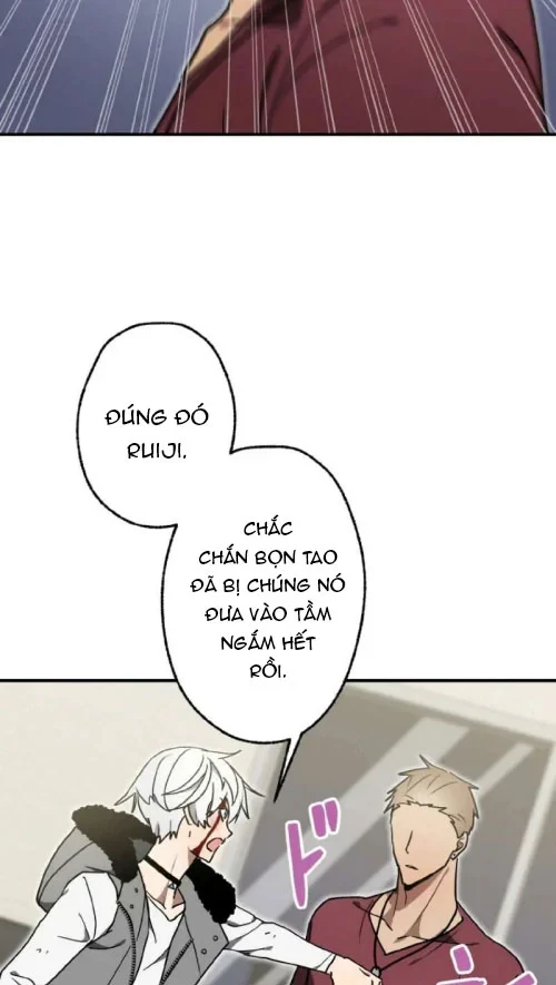 Quý Tộc Báo Thù Chapter 45 - 41