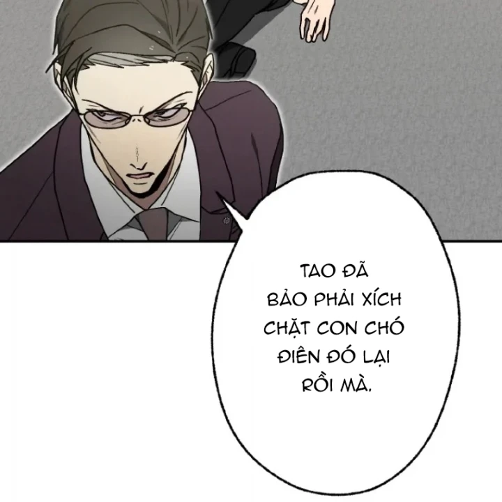 Quý Tộc Báo Thù Chapter 51 - 55