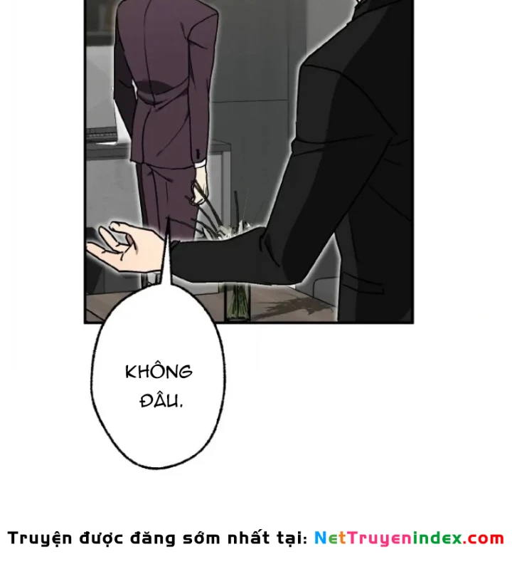 Quý Tộc Báo Thù Chapter 51 - 61