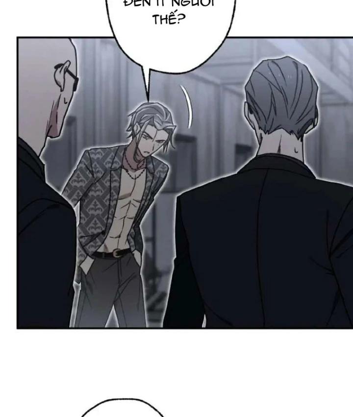 Quý Tộc Báo Thù Chapter 52 - 19