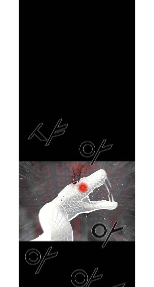 Mật Mã Mê Cung Chapter 111 - 29