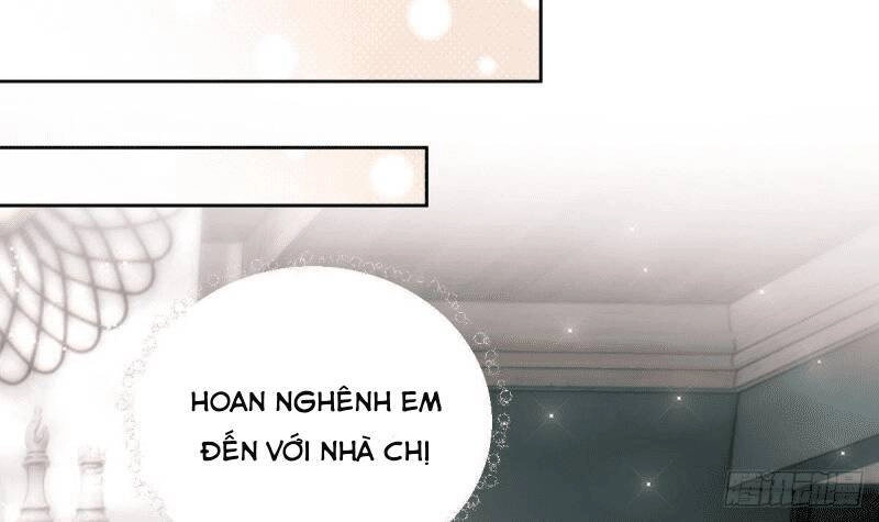 Các Cô Gái Tai Thú Đều Muốn Độc Chiếm Tôi Chapter 6 - 17