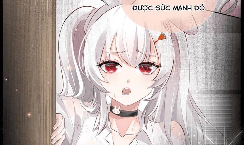 Các Cô Gái Tai Thú Đều Muốn Độc Chiếm Tôi Chapter 19 - 58