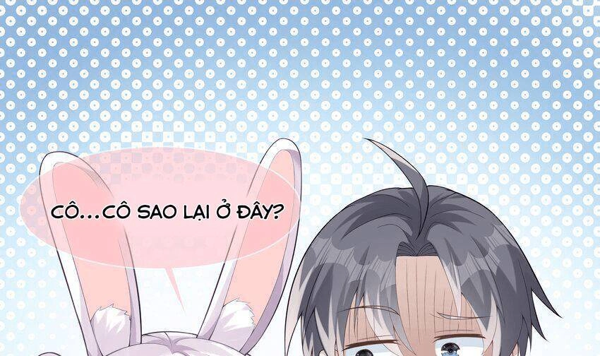 Các Cô Gái Tai Thú Đều Muốn Độc Chiếm Tôi Chapter 22 - 22