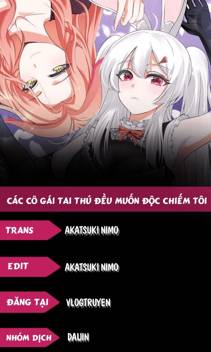 Các Cô Gái Tai Thú Đều Muốn Độc Chiếm Tôi Chapter 27 - 1