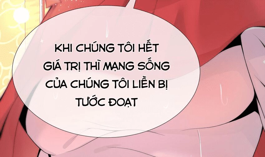 Các Cô Gái Tai Thú Đều Muốn Độc Chiếm Tôi Chapter 29 - 45