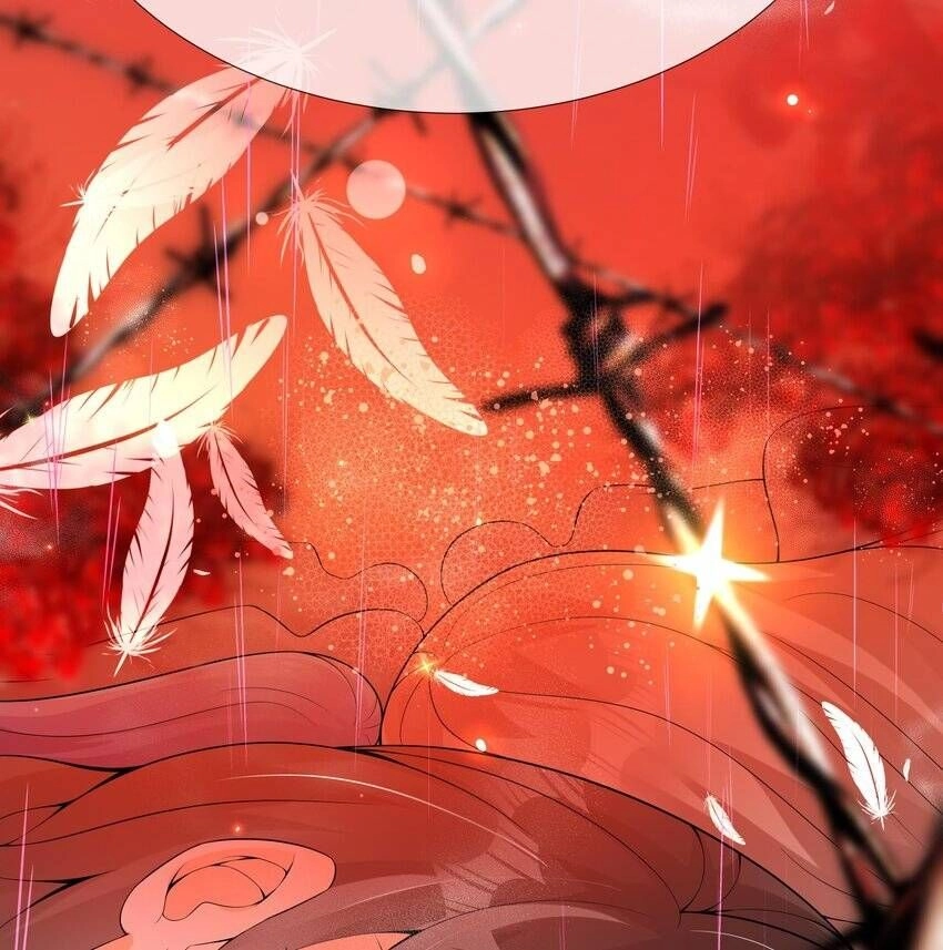 Các Cô Gái Tai Thú Đều Muốn Độc Chiếm Tôi Chapter 29 - 48