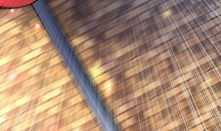 Các Cô Gái Tai Thú Đều Muốn Độc Chiếm Tôi Chapter 29 - 55