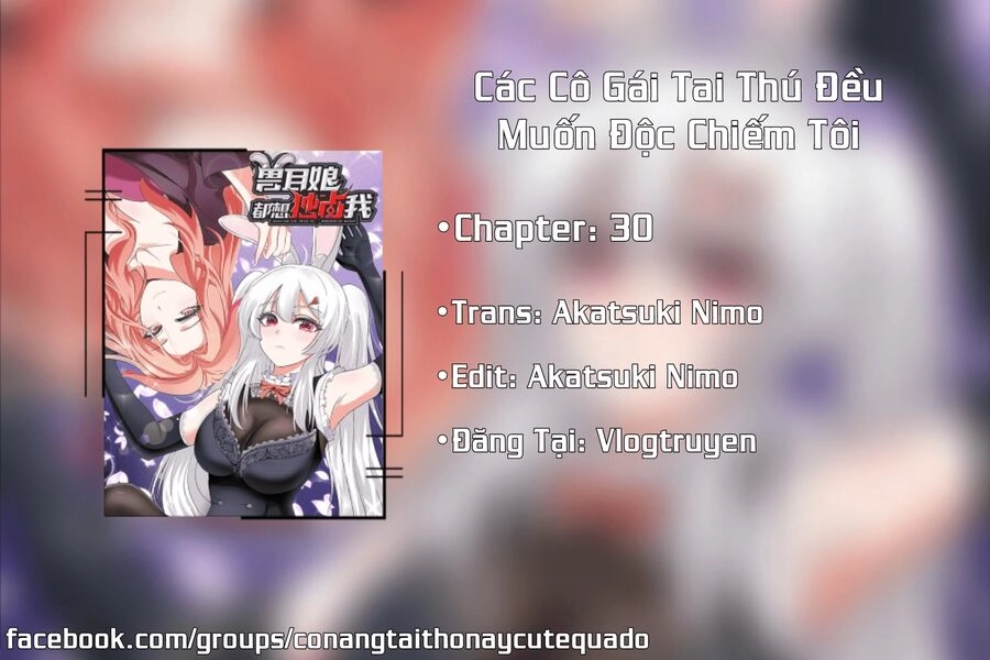 Các Cô Gái Tai Thú Đều Muốn Độc Chiếm Tôi Chapter 30 - 1