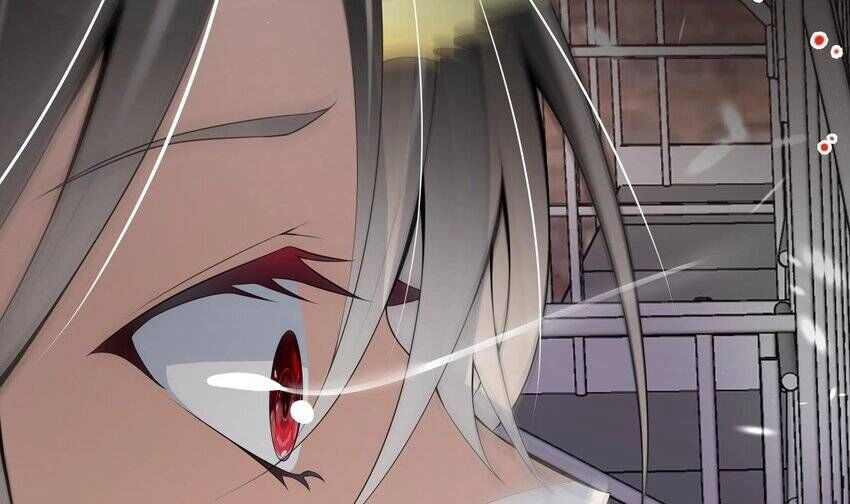 Các Cô Gái Tai Thú Đều Muốn Độc Chiếm Tôi Chapter 30 - 41