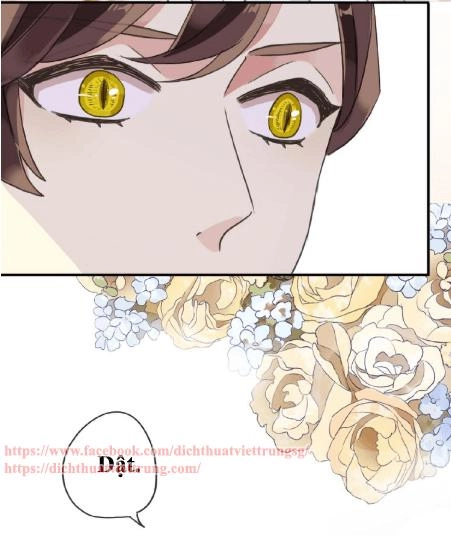 Vết Cắn Ngọt Ngào 3 Chapter 28 - 52