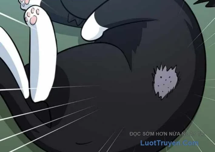 Bác Sĩ Thú Y Ở Dị Giới Chapter 33 - 153