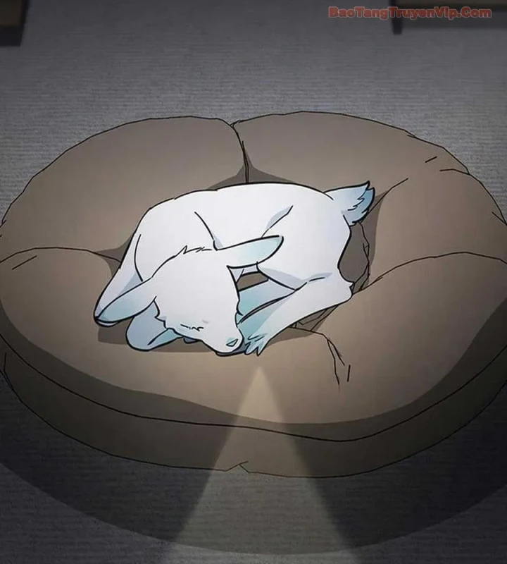 Bác Sĩ Thú Y Ở Dị Giới Chapter 51 - 3