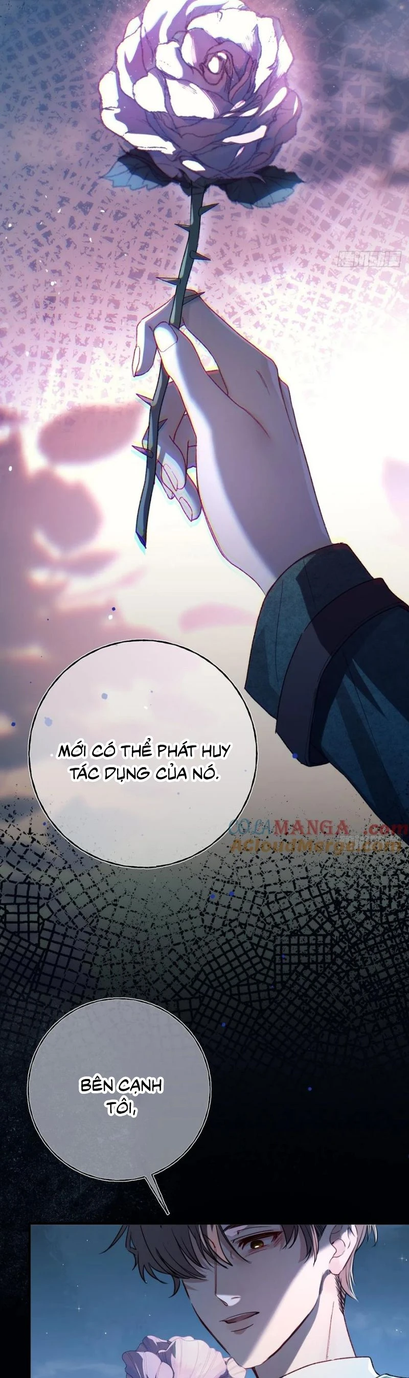 Yêu Đến Hủy Diệt Chapter 19 - 5