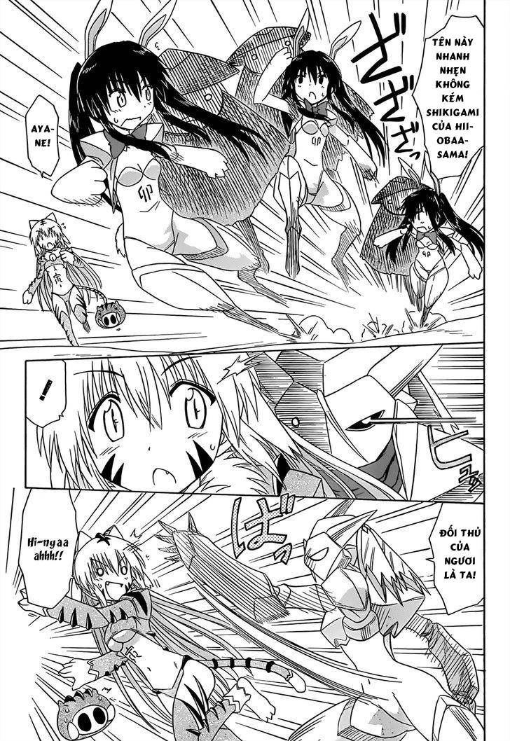 Nagasarete Airantou Chapter 144 - 5