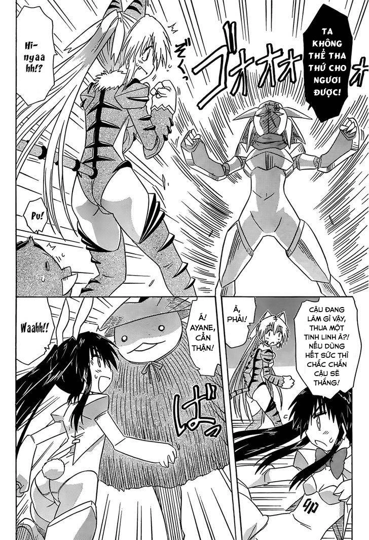 Nagasarete Airantou Chapter 144 - 8