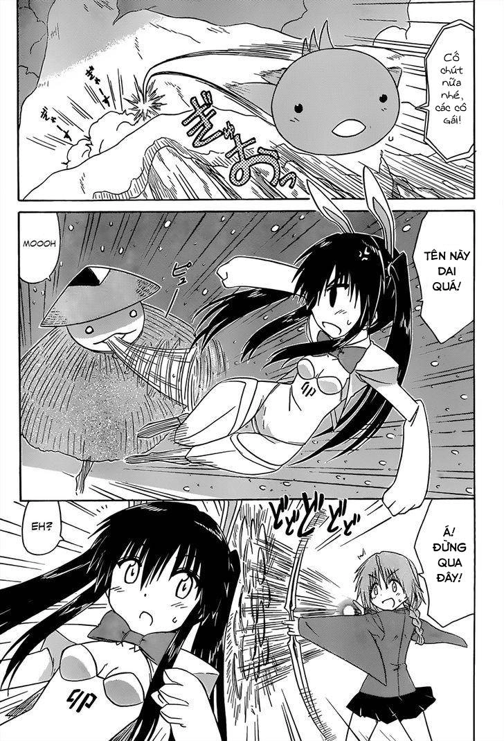 Nagasarete Airantou Chapter 144 - 11