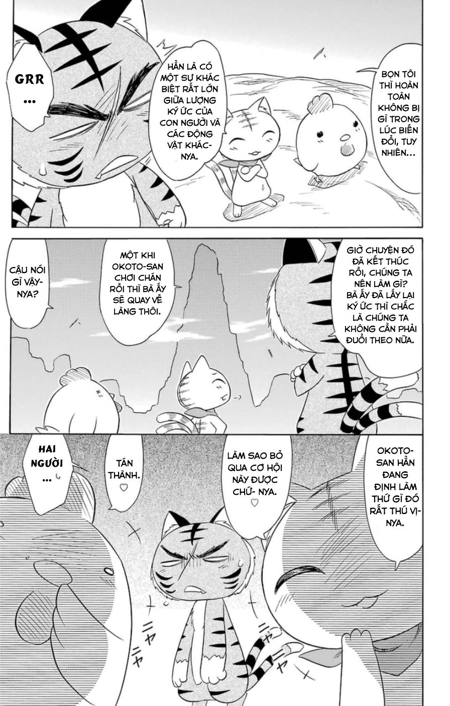 Nagasarete Airantou Chapter 150 - 13