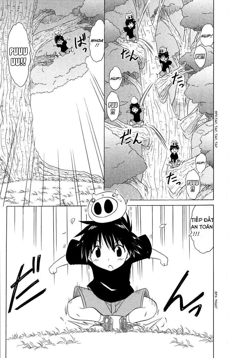 Nagasarete Airantou Chapter 177 - 17