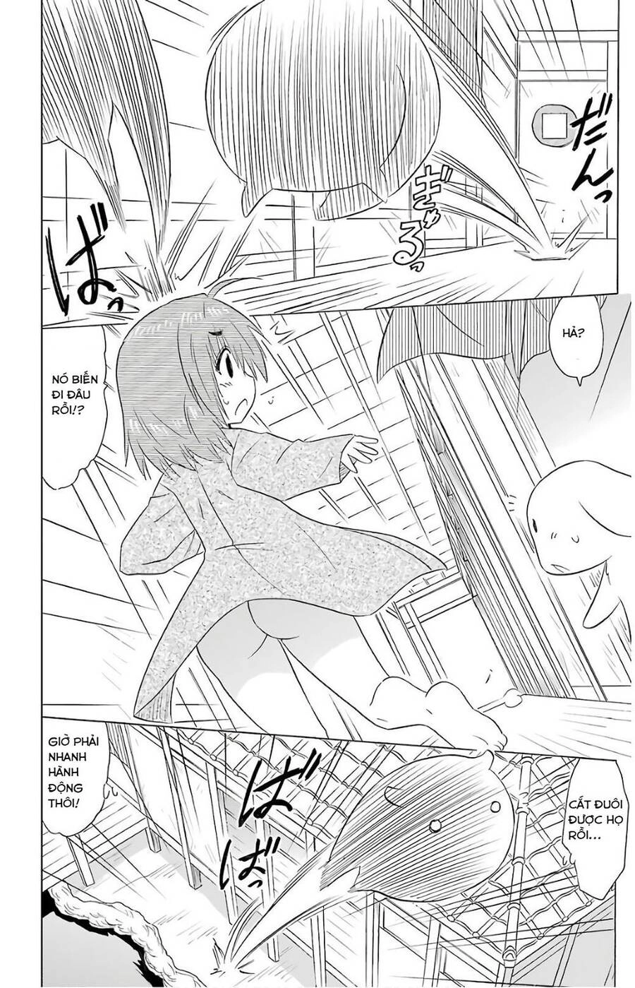 Nagasarete Airantou Chapter 191 - 20