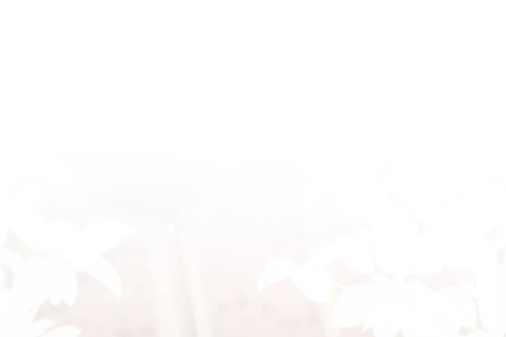 Trở Thành Nữ Hoàng Khi Mới Ba Tuổi Chapter 10 - 112