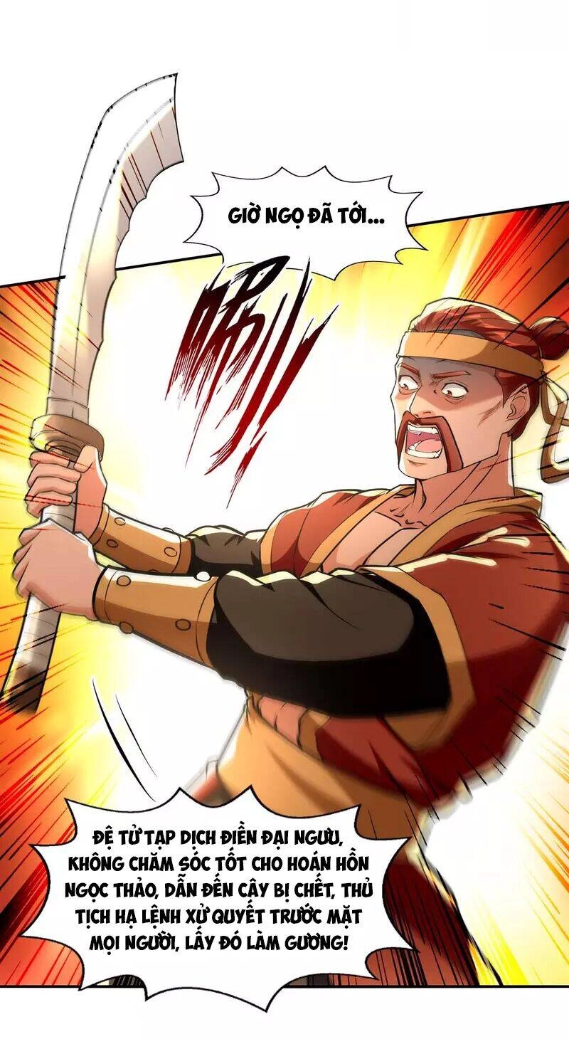 Nghịch Thiên Chí Tôn Chapter 132 - 11