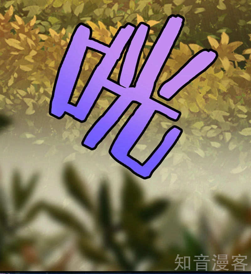 Tiên Đế Trở Về Chapter 33 - 10