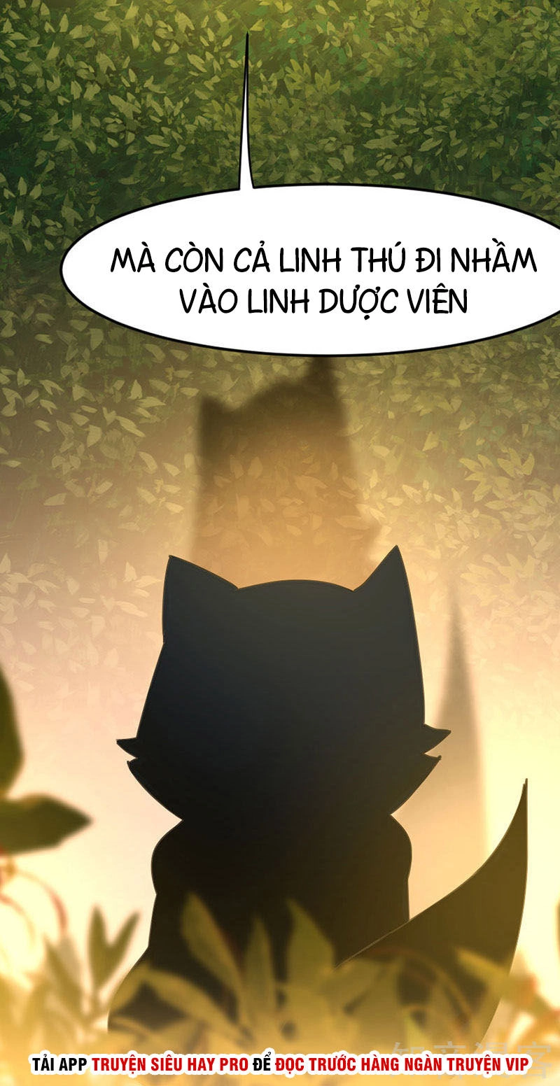 Tiên Đế Trở Về Chapter 33 - 12